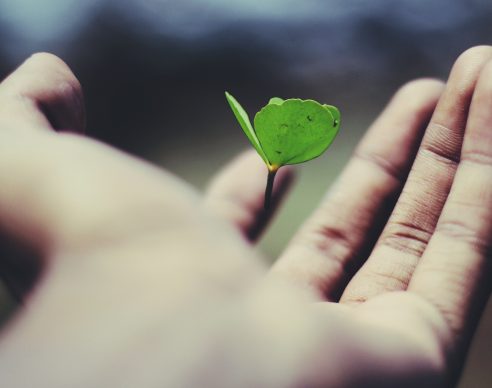 What are the most sustainable industries? What are the most sustainable industries?